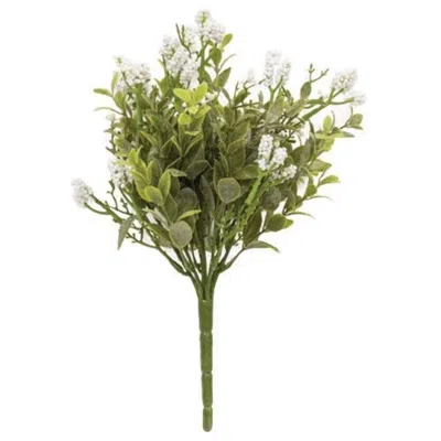 Homegifo Luxberry Bush