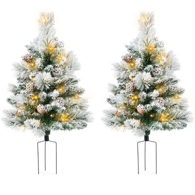 Best Choice Products Set Of 2 24.5in Outdoor Pathway Christmas Trees Decor W/ Led Lights