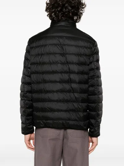 Palm Angels Logo-print Padded Jacket In Black