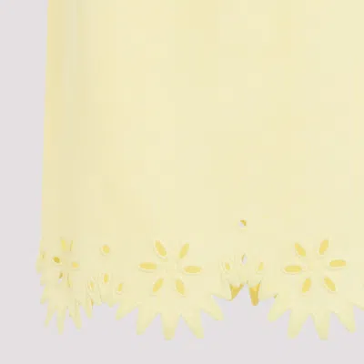 Bottega Veneta Embroidered Midi Skirt In Multicolor