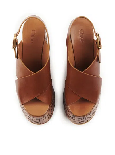 Chloé Maxime High Sandals Shoes In Brown