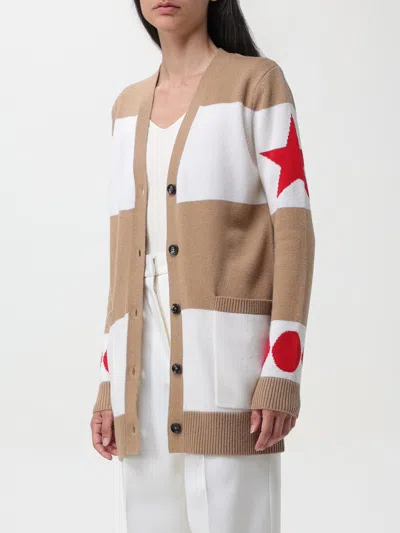 Max Mara Sweater In Brown