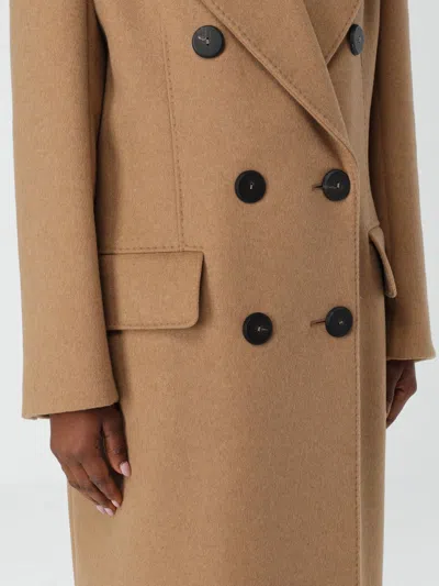 Max Mara Coat Woman Camel Women In Brown