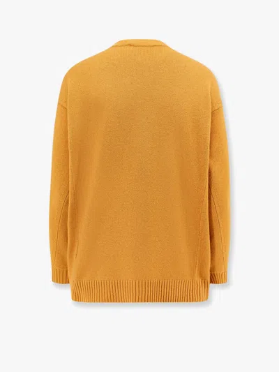 Max Mara Women  Yellow Knitwear In Yellow