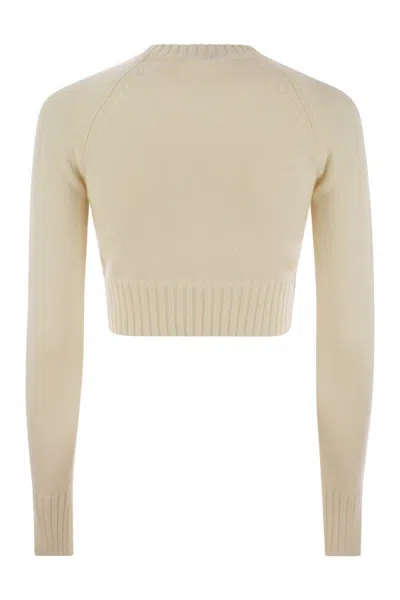Sportmax Fragola - Cashmere And Wool Sweater In Beige