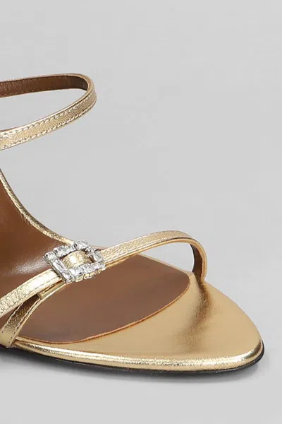 Giuseppe Zanotti Sandals In Gold