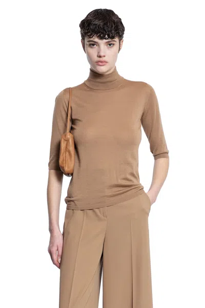 Max Mara Cecina Turtleneck In Brown