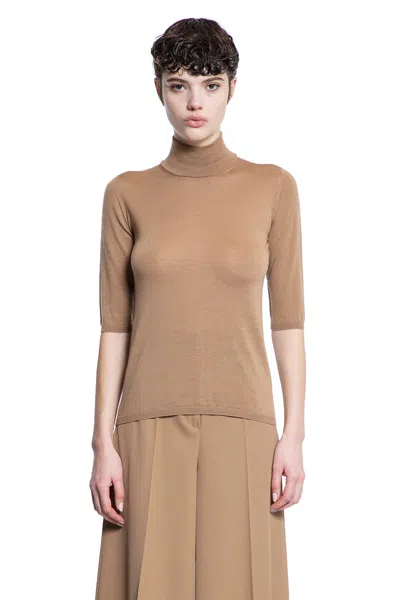 Max Mara Cecina Turtleneck In Brown