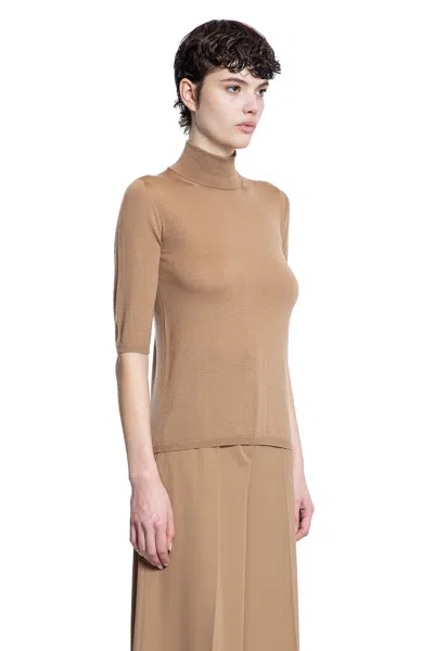 Max Mara Cecina Turtleneck In Brown
