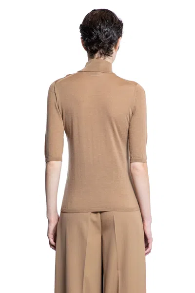 Max Mara Cecina Turtleneck In Brown