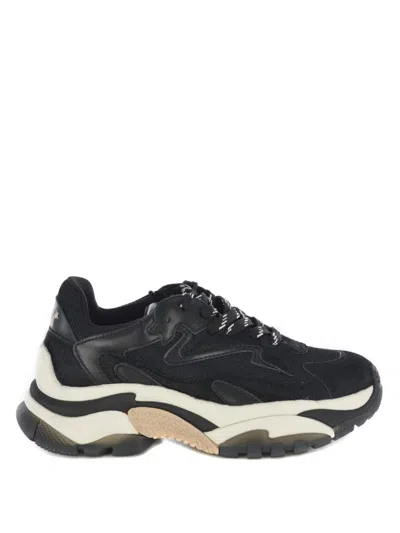 Ash Addict Black Sneaker In Black