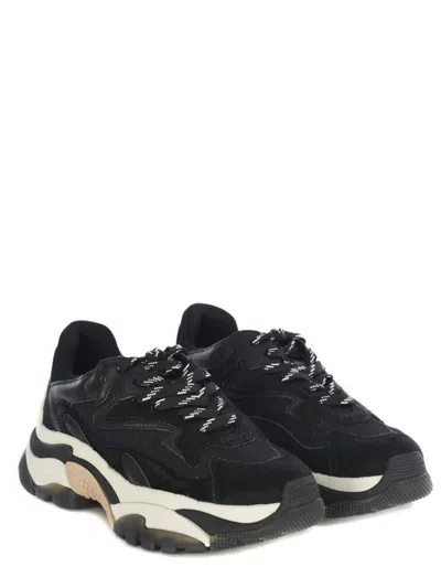 Ash Addict Black Sneaker In Black
