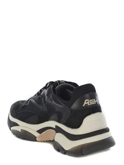 Ash Addict Black Sneaker In Black