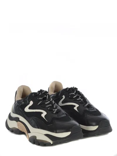 Ash Lace-up Low-cut Sneakers In Black