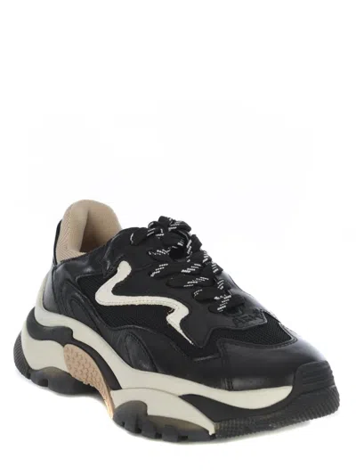 Ash Lace-up Low-cut Sneakers In Black