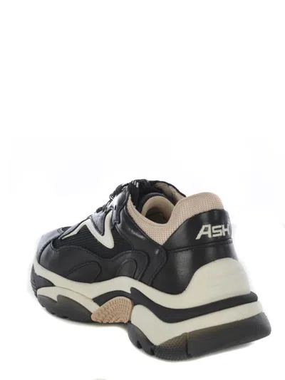 Ash Lace-up Low-cut Sneakers In Black