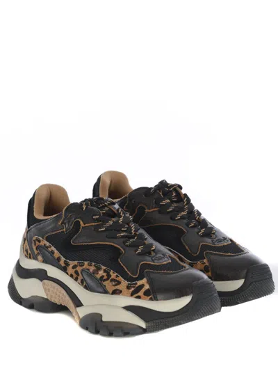 Ash Round-head Sneakers In Black