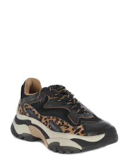 Ash Round-head Sneakers In Black