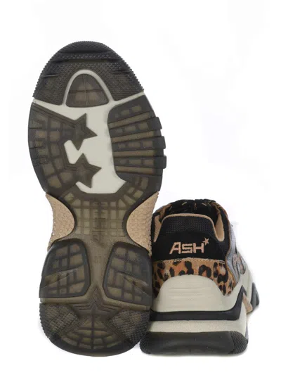 Ash Round-head Sneakers In Black