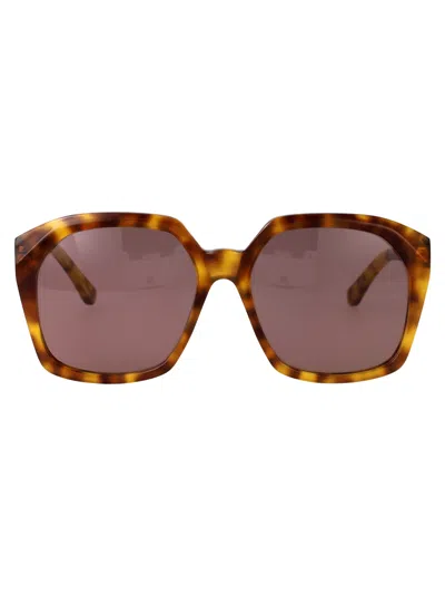 Chloé Chloe Butterfly Sunglasses Ch0280 S 004