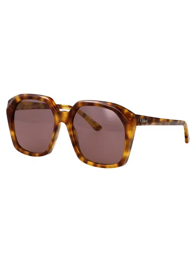 Chloé Chloe Butterfly Sunglasses Ch0280 S 004