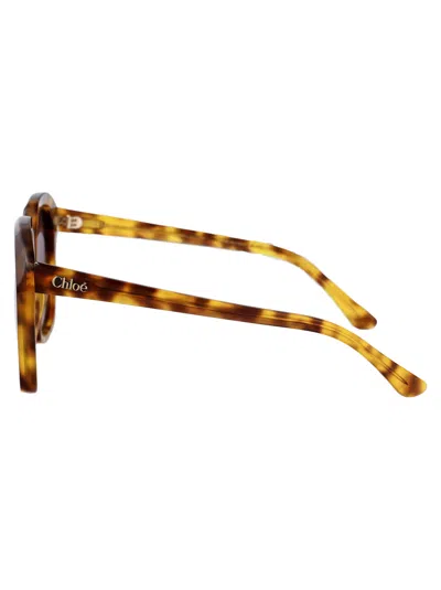 Chloé Chloe Butterfly Sunglasses Ch0280 S 004