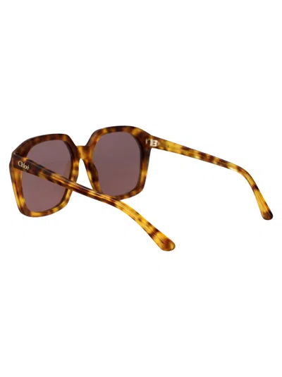 Chloé Chloe Butterfly Sunglasses Ch0280 S 004