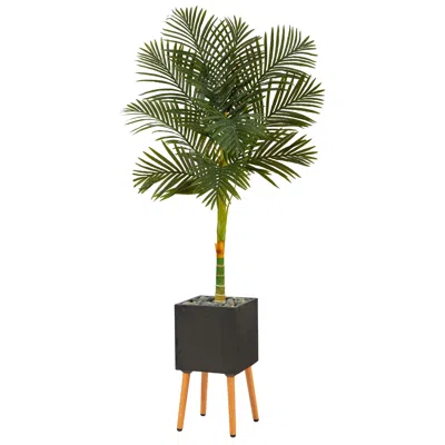 Homplanti 6' Golden Cane Palm Tree In Black Planter With Stand