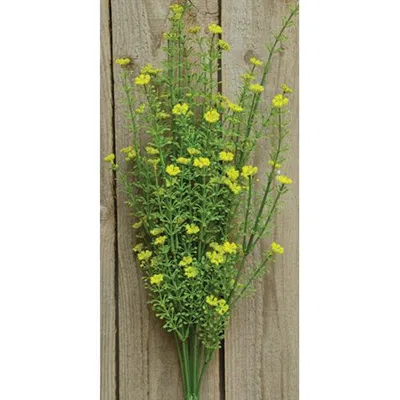 Homegifo Yellow Astilbe Bush 20"