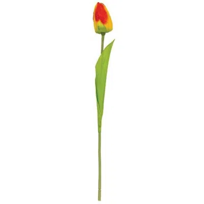 Homegifo Sunset Tulip Stem 15.5"