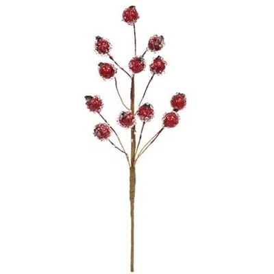 Homegifo Icy Red Berry Pick