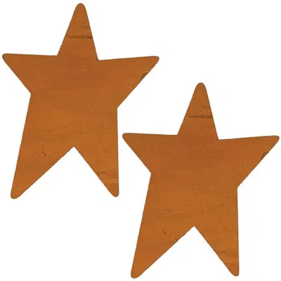 Homegifo 2/pkg Rusty Tin Stars 4"h
