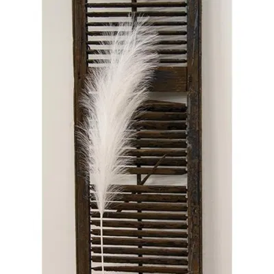 Homegifo *pampas Grass Spray 45" White