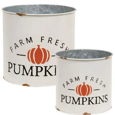 Homegifo 2/set Distressed Metal Farm Fresh Pumpkins Buckets