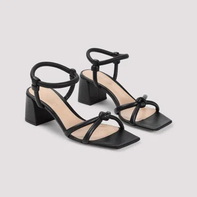 Shop Gianvito Rossi Sandals In Black