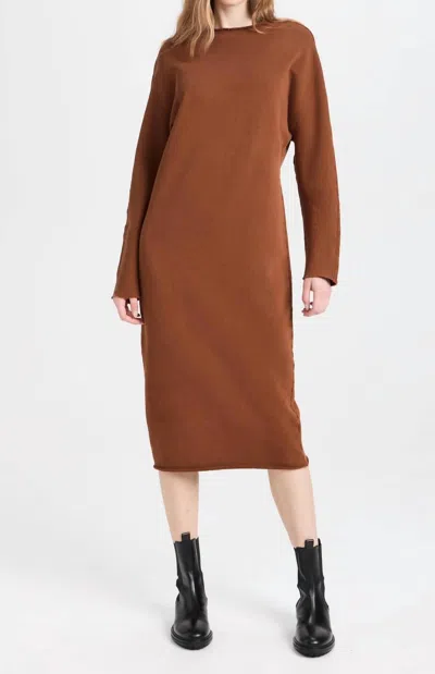 Frank & Eileen Women's Isabelle Funnel Neck Dress In Cinnamon In Brown