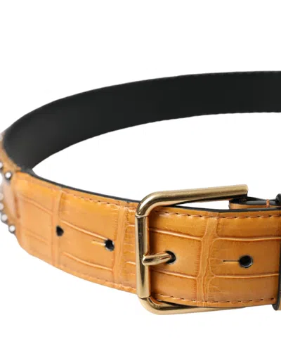 Dolce & Gabbana Beige Alligator Leather Studded Metal Buckle Belt In Beige