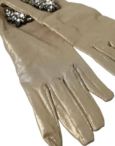 Dolce & Gabbana Beige Satin Crystal Elbow Length Gloves In Beige