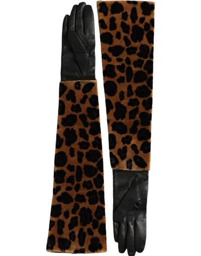 Dolce & Gabbana Brown Black Leopard Leather Elbow Length Gloves In Black And Brown