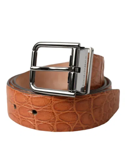 Dolce & Gabbana Brown Exotic Leather Silver Metal Buckle Belt In Brown