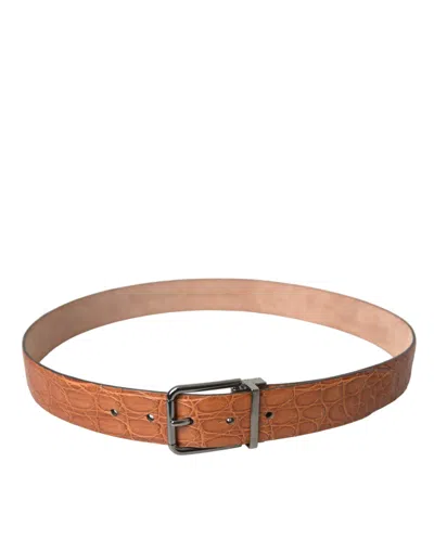 Dolce & Gabbana Brown Exotic Leather Silver Metal Buckle Belt In Brown