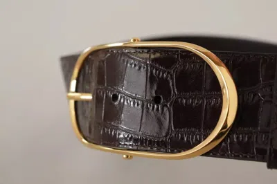 Dolce & Gabbana Brown Crocodile Pattern Leather Gold Oval Buckle Belt In Brown