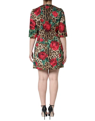 Dolce & Gabbana Short Dress In Brown
