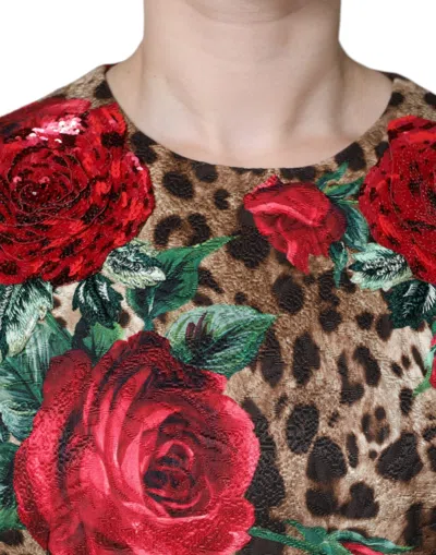 Dolce & Gabbana Short Dress In Brown