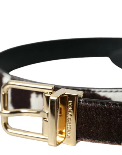 Dolce & Gabbana Brown White Zebra Pony Hair Gold Buckle Belt In Brown
