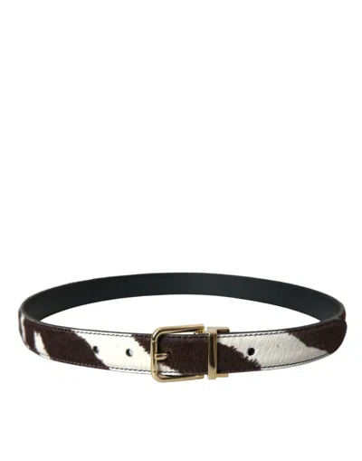 Dolce & Gabbana Brown White Zebra Pony Hair Gold Buckle Belt In Brown