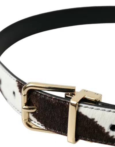 Dolce & Gabbana Brown White Zebra Pony Hair Gold Buckle Belt In Brown