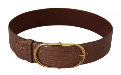 Pre-owned Dolce & Gabbana Brown Wide Waist Leather Gold Oval Metal Buckle Women's Belt ()
