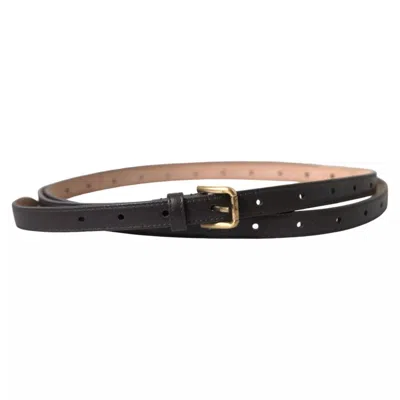 Dolce & Gabbana Dark Brown Leather Gold Metal Buckle Women Belt In Brown