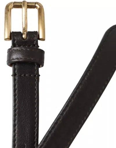 Dolce & Gabbana Dark Brown Leather Gold Metal Buckle Women Belt In Brown